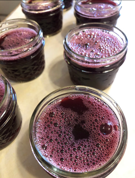 Elderberry Syrup